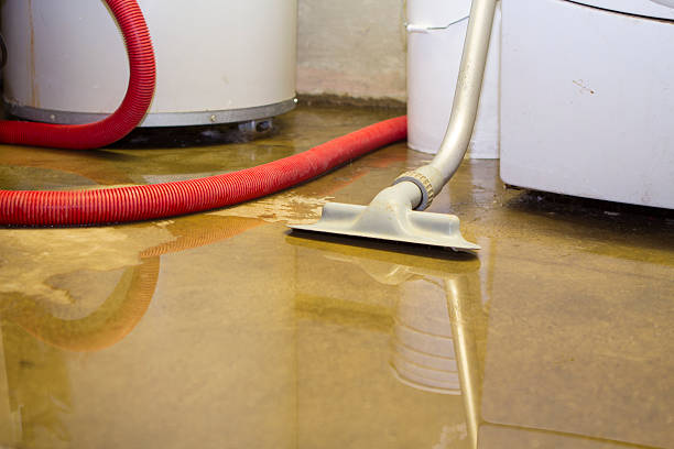 Best Water damage restoration mold remediation  in USA